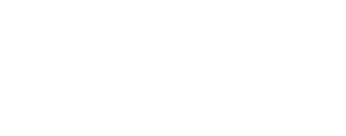Meta Business Partner